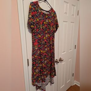 LuLaRoe Floral Carly Dress Large